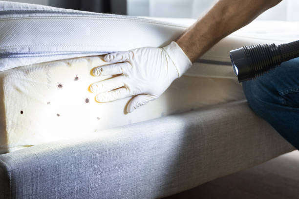 Best Commercial Pest Control Services  in Dakota Ridge, CO