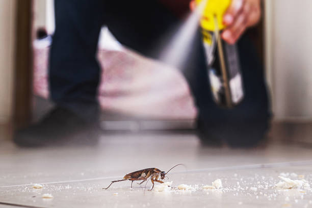 Best Residential Pest Control  in Dakota Ridge, CO