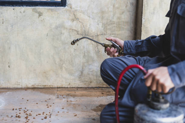 Best Local Pest Control Services  in Dakota Ridge, CO